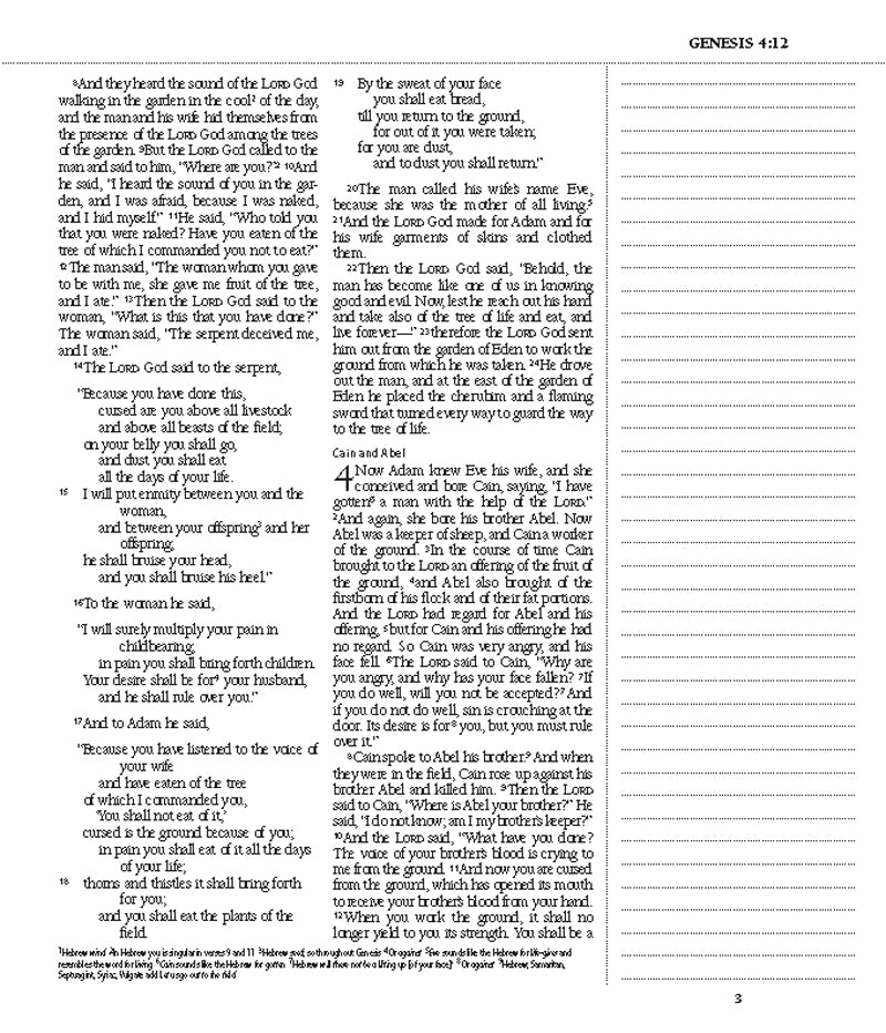 ESV Journaling Bible Elegant Grace TruTone