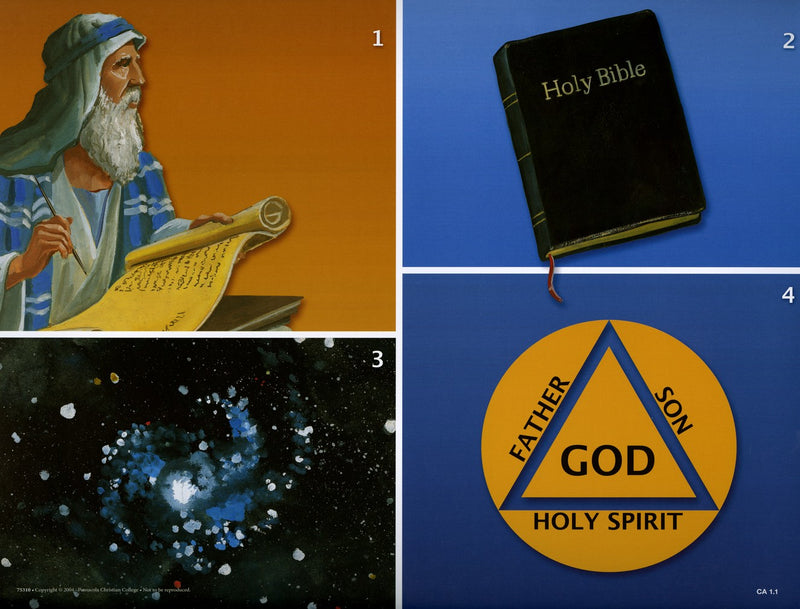 First Christmas (Life of Christ Series 1) - Abeka Flash-A-Card