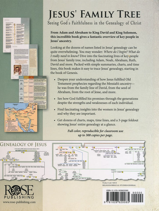 Jesus' Family Tree: Seeing God's Faithfulness in the Genealogy of Christ