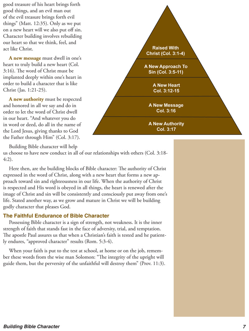 Building Bible Character