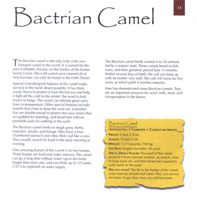 Marvels of Creation: Magnificent Mammals