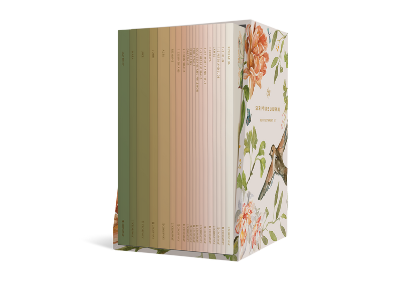 ESV Scripture Journal NT Set with Artwork