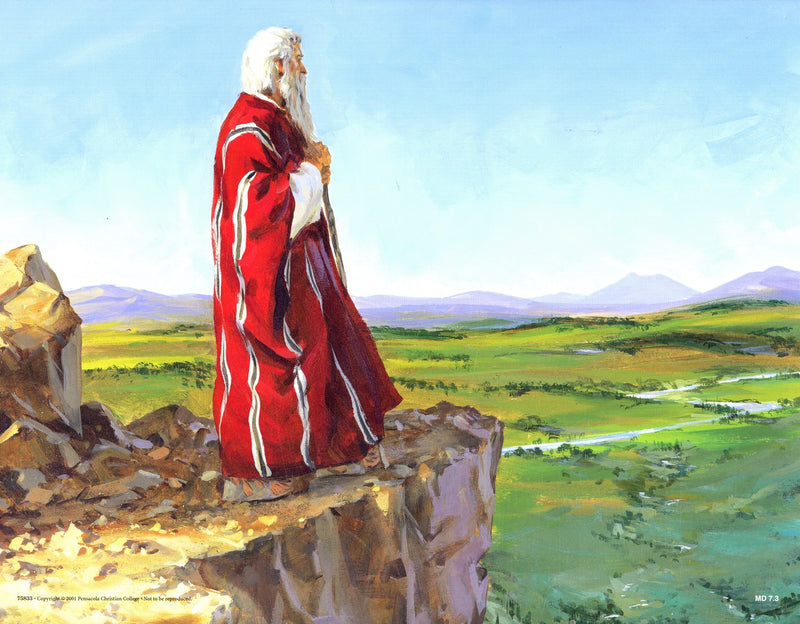 Journey through the Wilderness (Life of Moses Series 3) - Abeka Flash-A-Card