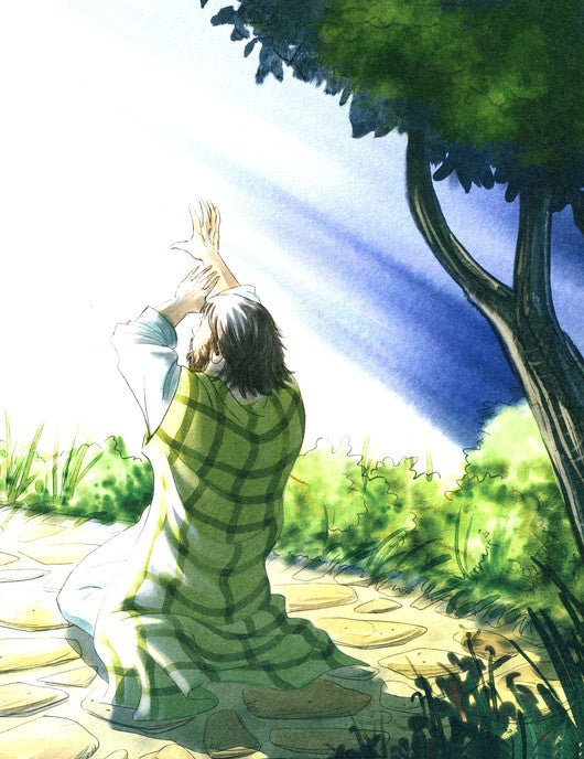 Paul's Great Basket Caper (Arch Books)