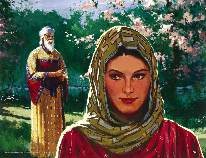 Esther - Abeka Flash-A-Card