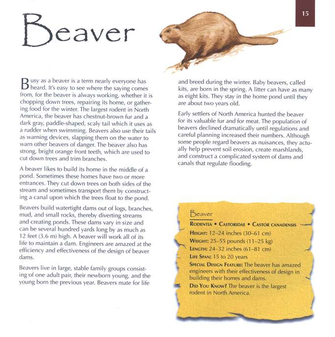 Marvels of Creation: Magnificent Mammals