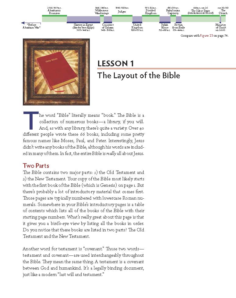 The Big Picture: A Guide to Learning the Bible's Story