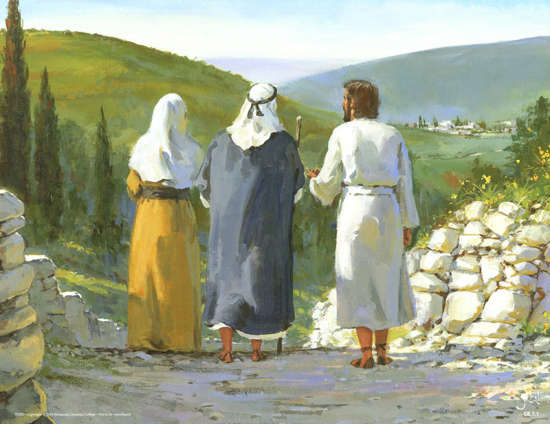 Crucifixion And Resurrection (Life of Christ Series 5) - Abeka Flash-A-Card