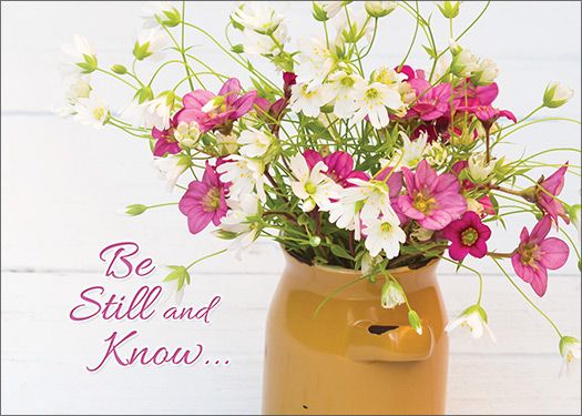 Boxed Cards - Comfort in God's Care - Get Well