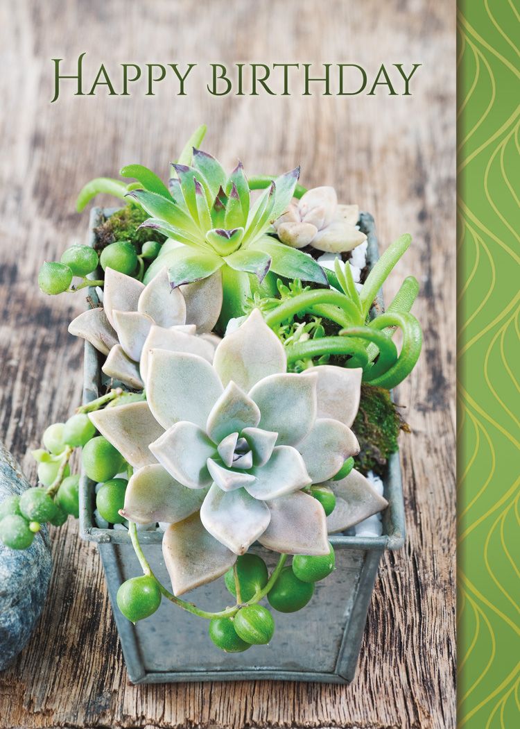 Boxed Cards - All Occasion: Lasting Sentiments