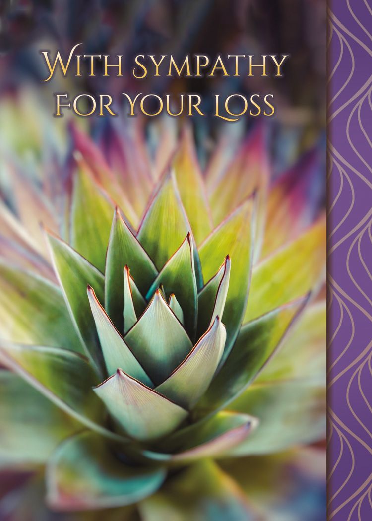 Boxed Cards - All Occasion: Lasting Sentiments