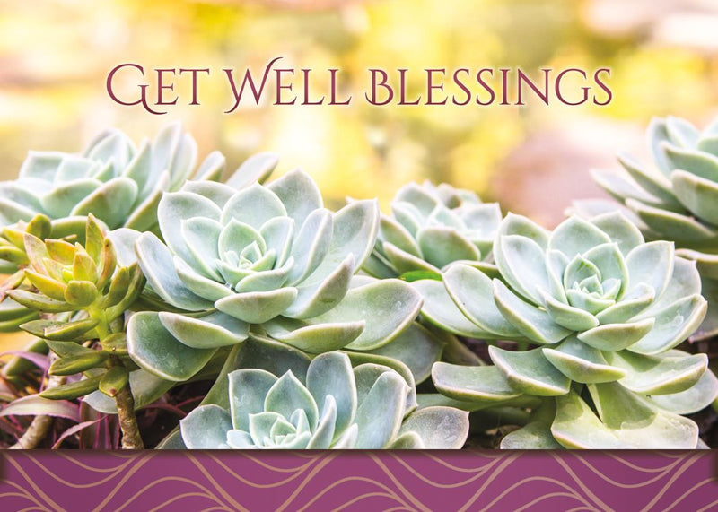 Boxed Cards - All Occasion: Lasting Sentiments