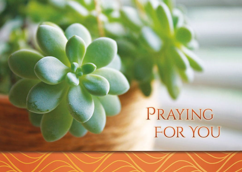 Boxed Cards - All Occasion: Lasting Sentiments